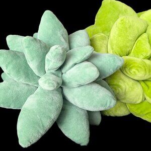Plush Succulent Plant Pillows - Pair